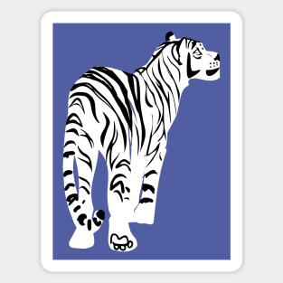 White tiger in peri background Sticker